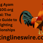 sabung ayam juara100.org medal