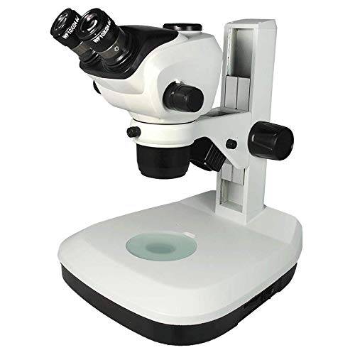 Exploring the Power of Stereoscopic Zoom Microscope LK-MS03A