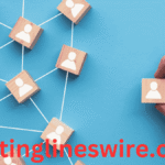 Fdcsalesinfo com new_mis